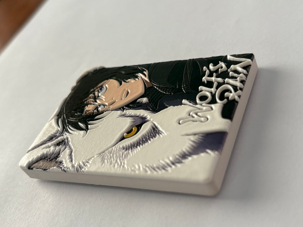 Toonami fridge magnets